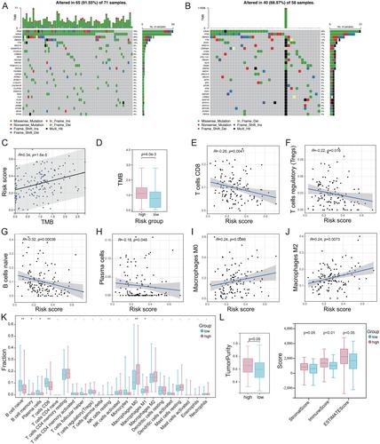 Cuproptosis-related lncRNAs are correlated with tumour metabolism and immune microenvironment and predict prognosis in pancreatic cancer patients