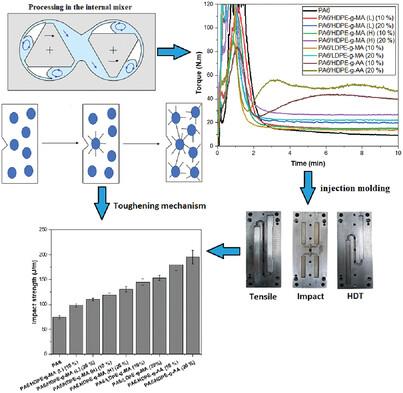 Toward Reactive Processing of Polyamide 6 Based Blends with Polyethylene Grafted with Maleic Anhydride and Acrylic Acid: Effect of Functionalization Degree