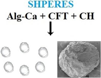 Alginate/chitosan hydrogels as perspective transport systems for cefotaxime