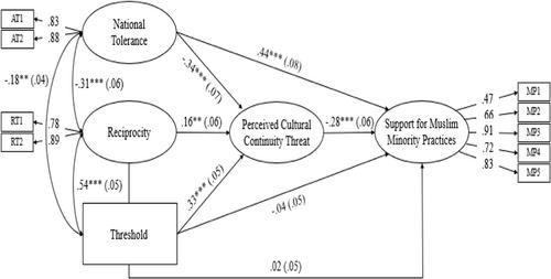 Maintaining a tolerant national identity: Divergent implications for the acceptance of minority groups