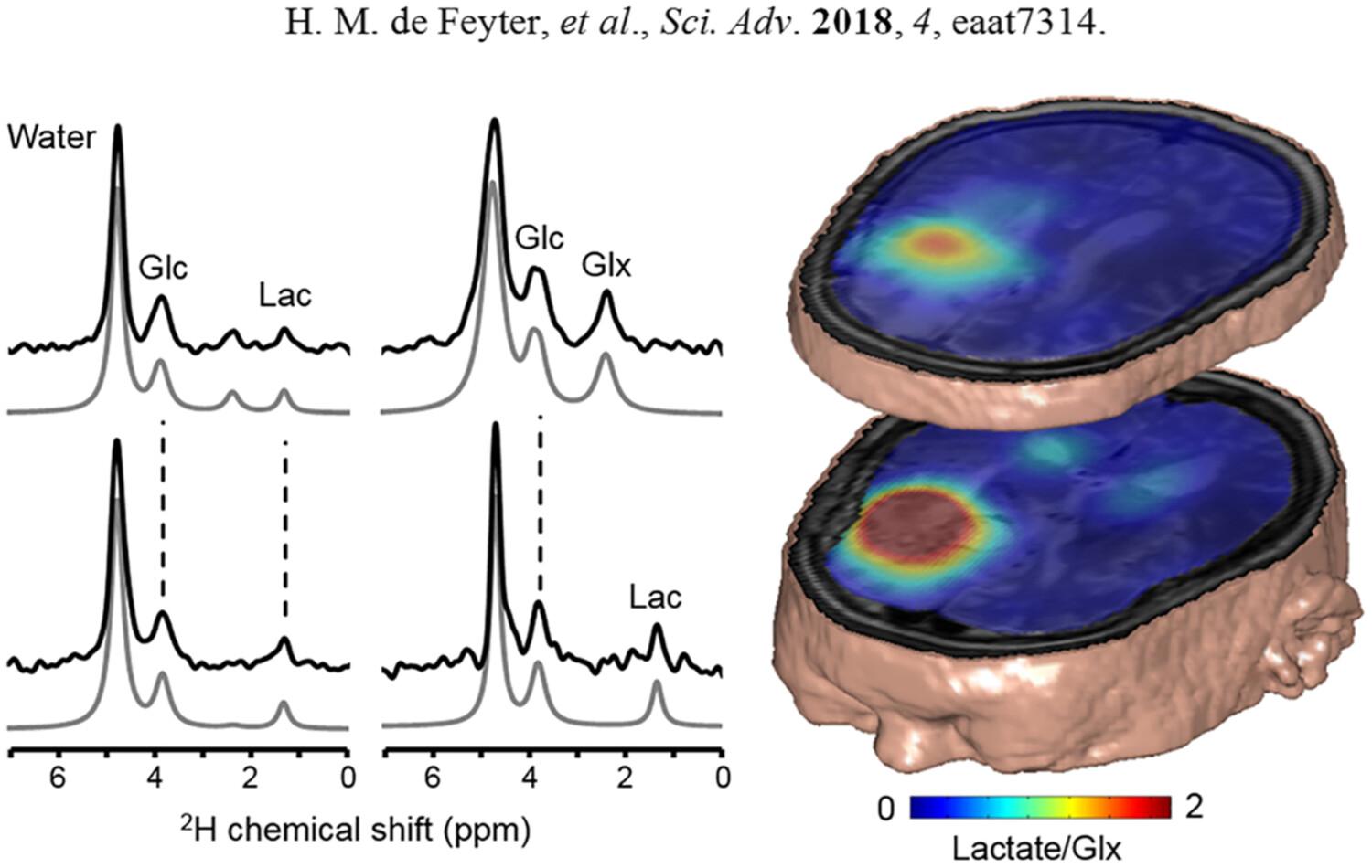 Structural applications of the isotropic liquid-phase deuterium nuclear magnetic resonance