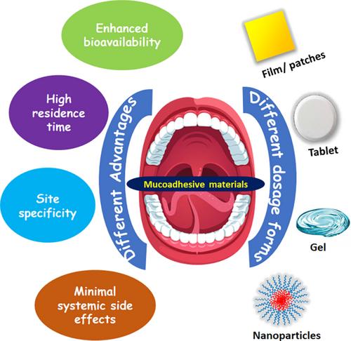 Beyond traditional therapy: Mucoadhesive polymers as a new frontier in oral cancer management