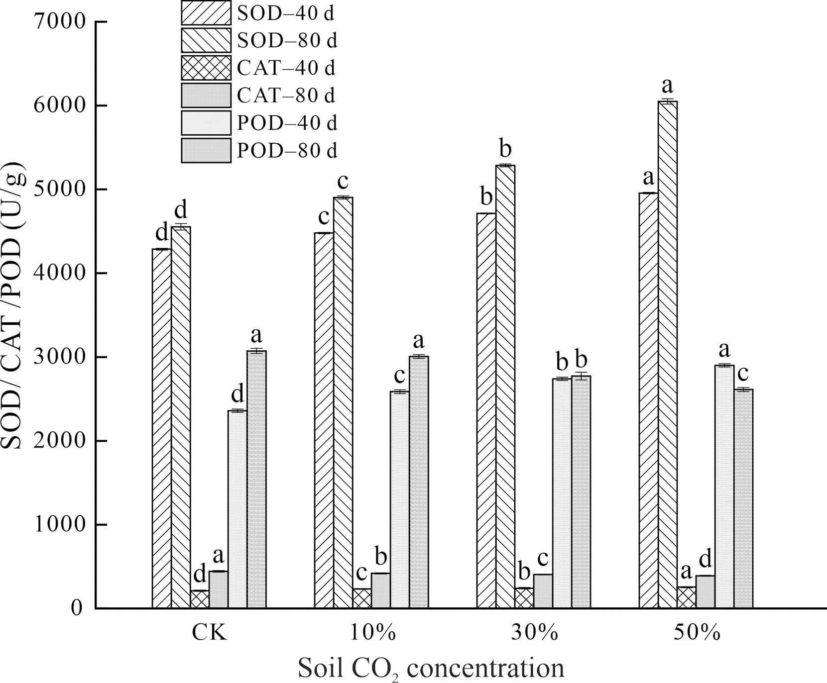 Superoxide Dismutase Plays an Important Role in Maize Resistance to Soil CO2 Stress