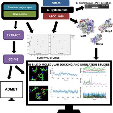 In silico evaluation of phytochemicals present in Bambusa polymorpha and Citrus limon extracts against Salmonella enteric Typhimurium combined with in vitro antimicrobial and acidic stress responsive studies