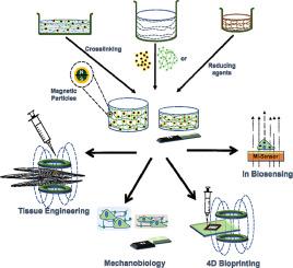 Ferrogels: A wonder material from mechanobiological perspective