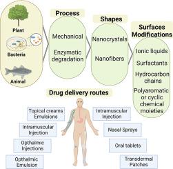 Surface modifications of nanocellulose for drug delivery applications; a critical review