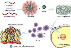 Sustained release of therapeutic gene by injectable hydrogel for hepatocellular carcinoma