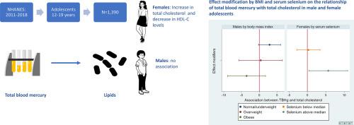 Association of Blood Total Mercury with Dyslipidemia in a sample of U.S. Adolescents: Results from the National Health and Nutrition Examination Survey Database, 2011–2018