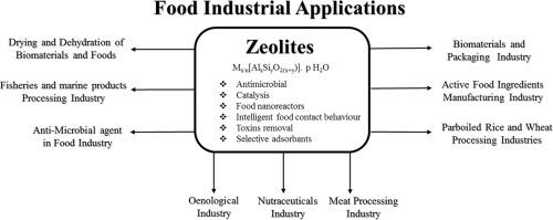 The untapped potential of zeolites in techno-augmentation of the biomaterials and food industrial processing operations: a review