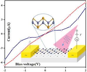 Nonequilibrium quantum transport properties of tetragonal zinc chalcogenide monolayers