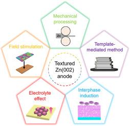 Crystallographic engineering of Zn anodes for aqueous batteries