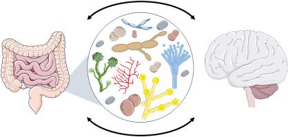 The mycobiota-gut-brain axis in Parkinson's disease: A review on what we know and what paths we can still take to advance this field of study