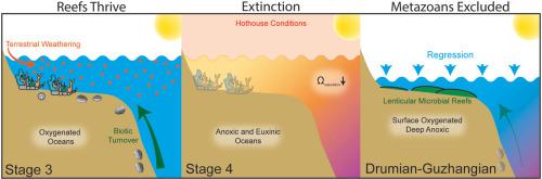 Analysis of the environmental impacts affecting Cambrian reef building and carbonate settings during the Miaolingian and Furongian epochs: A hypothesis for consideration