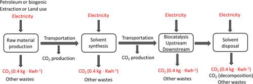 Green solvents and biocatalysis: A bigger picture