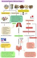 Probiotic therapy, African fermented foods and food-derived bioactive peptides in the management of SARS-CoV-2 cases and other viral infections