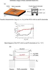 Fabrication and characterization of field-effect transistors based on MoS2 nanotubes prepared in anodic aluminum oxide templates