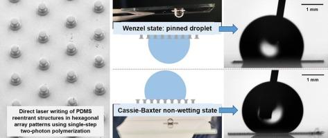 Single-step fabrication of superhydrophobic surfaces by two-photon polymerization micro 3D printing