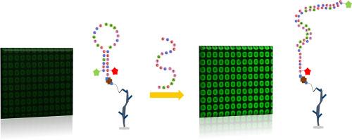 Polymer brush structures functionalized with molecular beacon for point-of-care diagnostics