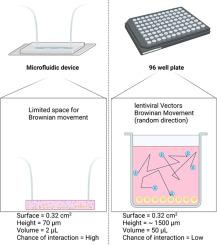 A straightforward microfluidic-based approach toward optimizing transduction efficiency of HIV-1-derived lentiviral vectors in BCP-ALL cells