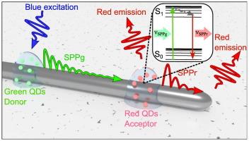 Unidirectional frequency conversion of surface plasmon polaritons on metal nanowires