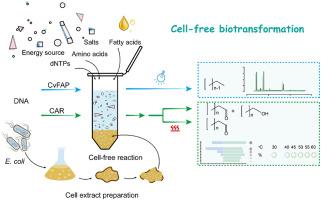 Cell-free metabolic engineering enables selective biotransformation of fatty acids to value-added chemicals