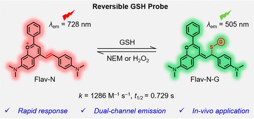 A Reversible Dual-Channel Near-Infrared Flavonoid Probe for in Vivo Tracking Glutathione Dynamics in Living Mice