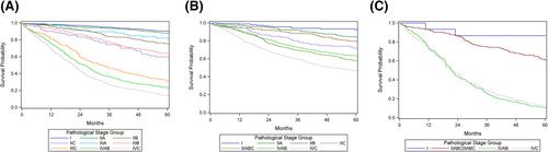 Survival outcomes used to validate version 9 of the American Joint Committee on Cancer staging system for appendiceal cancer