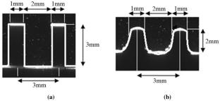 Bionics-Inspired Structure Boosts Drag and Noise Reduction of Rotating Machinery