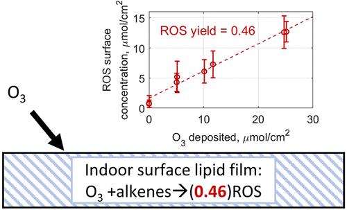 Ozone-Initiated Yield of Reactive Oxygen Species in a Model Indoor Surface Film