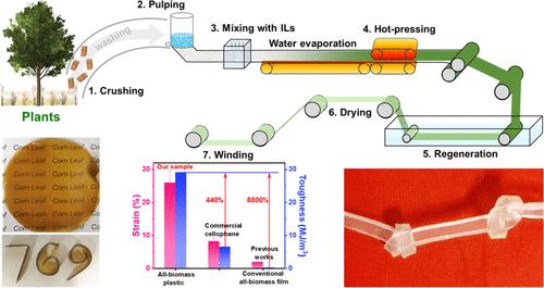 Tough and Strong All-Biomass Plastics from Agricultural and Forest Wastes via Constructing an Aggregate of Hydrogen-Bonding Networks