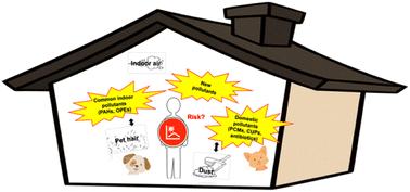 Occurrence of emerging contaminants in pet hair and indoor air: integrative health risk assessment using multiple ToxCast endpoints†