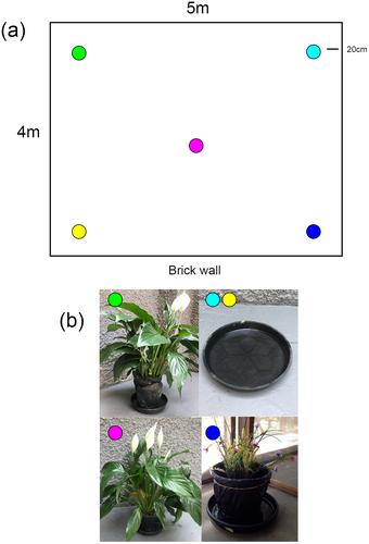 Aedes aegypti oviposition-sites choice under semi-field conditions