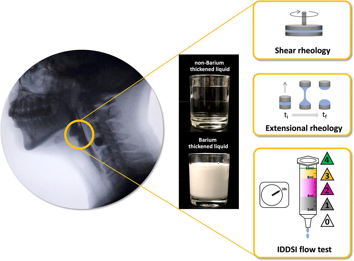 Effects of barium sulfate on rheological properties and IDDSI flow consistency of liquid stimuli prepared using commercial thickening powders