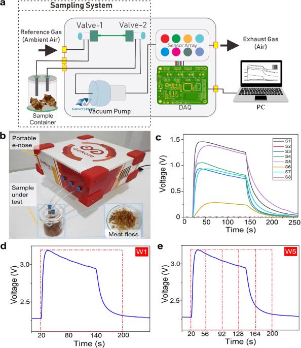 Rapid analysis of meat floss origin using a supervised machine learning-based electronic nose towards food authentication