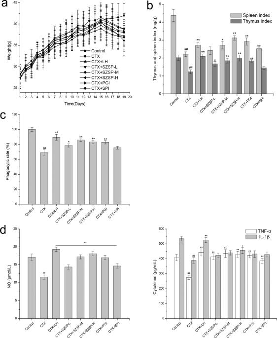 Immunomodulatory activity of semen Ziziphi Spinosae protein: a potential plant protein functional food raw material