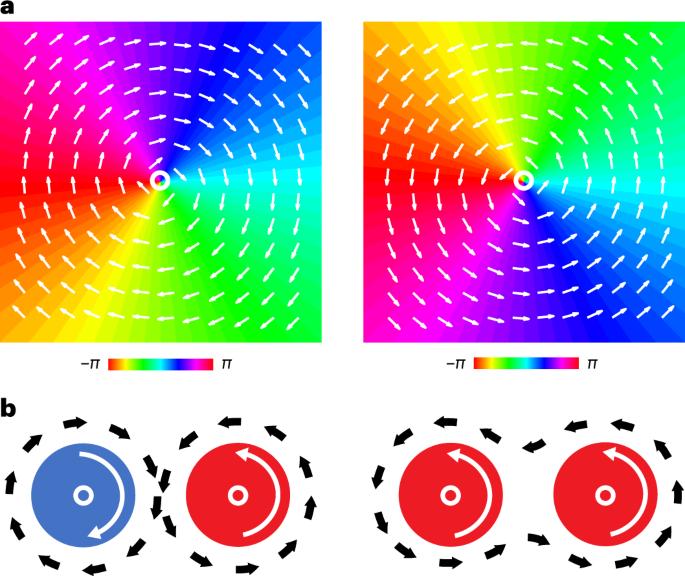 Interacting spiral wave patterns underlie complex brain dynamics and are related to cognitive processing