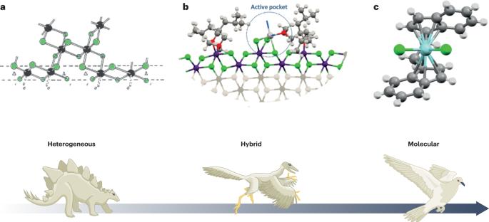 Imagine polypropylene