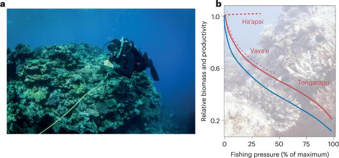 Resilience of reefs to overfishing