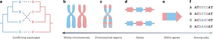 Incongruence in the phylogenomics era