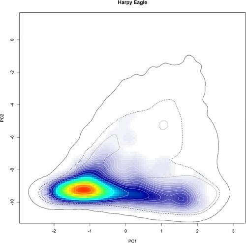 Multi-scale habitat overlap in two broad-ranged sympatric Neotropical forest eagles reveals shared environmental space and habitat use