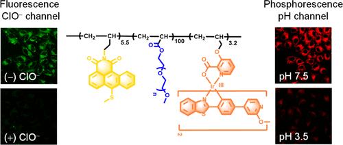 Fluorescent/Phosphorescent Dual-Emissive Probe for Simultaneous and Independent Sensing of Intracellular Hypochlorite and pH via Time-Resolved Luminescence Imaging