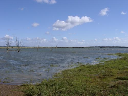 Inventing the managed realignment of the coast: Trying ‘to live with nature not defeat her’