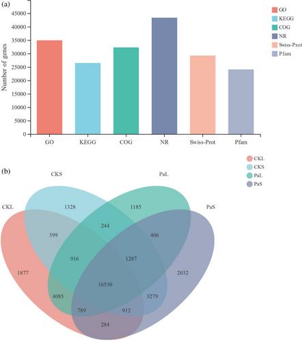 Comparative transcriptomic analysis of gene expression profiles in the liver and spleen of American bullfrog (Lithobates catesbeianus) in response to Citrobacter freundii infection