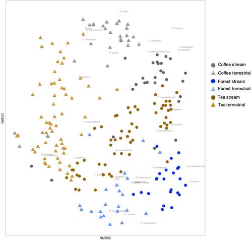 Life-history traits govern the habitat use of diverse amphibian assemblages in an agroforest landscape matrix