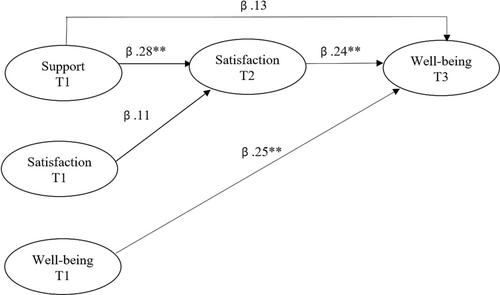 The voice of persons with intellectual disability: Why does autonomy support make them feel better?