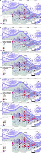 Surface water quality in Amazonian Floodplain Lakes, data set of the Lago Grande de Curuai Floodplain Lake, Pará-Brazil