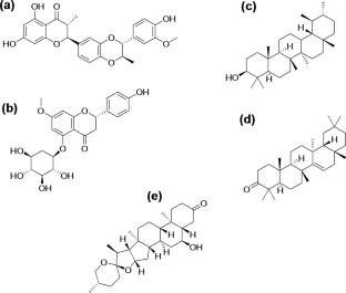 Identification of potential inhibitors of cholinergic and β-secretase enzymes from phytochemicals derived from Gongronema latifolium Benth leaf: an integrated computational analysis