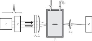 Plasmonic Resonance of Low-Frequency Stimulated Raman Scattering during Water Optical Breakdown