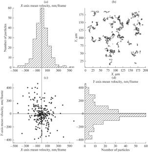 Optical and Electron Microscopy of Clusters of Nd3+:LaF3 Nanoparticles Synthesized by the HTMW Method