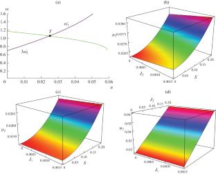 Study the Non-Linear Stability of Non-Collinear Libration Point in the Restricted Three-Body Configuration When the Shapes of the Primaries are Taken as Heterogeneous and Finite-Straight Segment